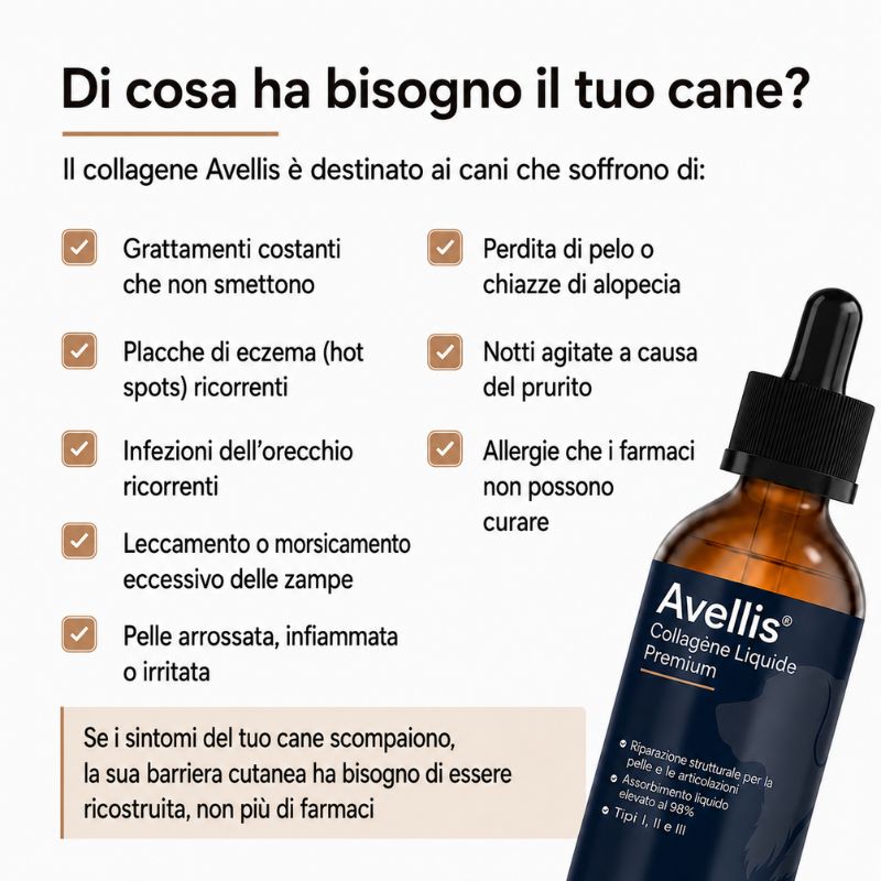 Collagene Liquido Premium Avellis™