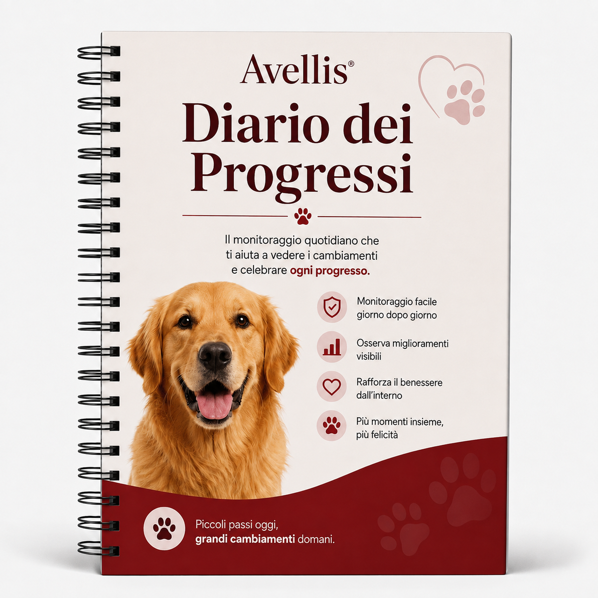 + Guilda "Diario dei Progressi"